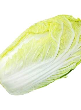 新乡好吃小包头白菜播种大白菜