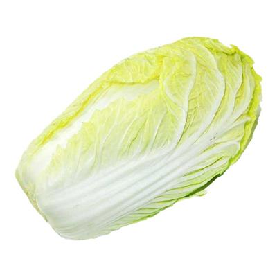 新乡好吃小包头白菜播种大白菜