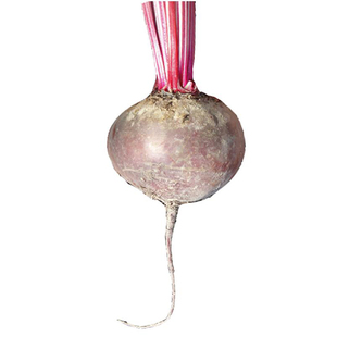 有机认证甜菜根现拔红菜头红叶菜火焰菜beetroot五斤装农产品