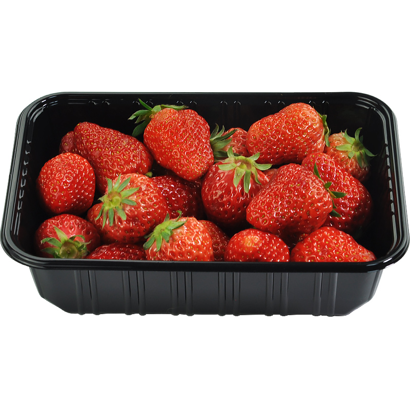 鲜元一次性无盖蔬菜食品水果盒
