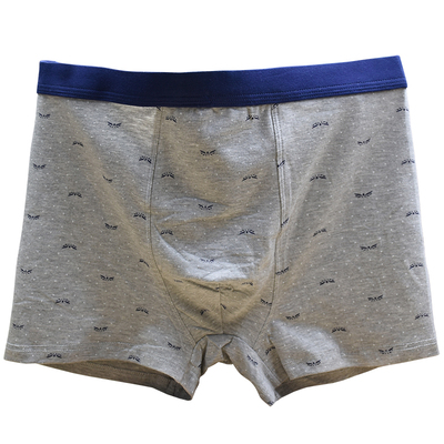 加肥加大男士宽松纯棉内裤2-9XL