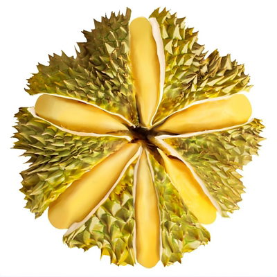 多地次日达泰国金枕榴莲一整个带壳新鲜软糯香甜顺丰送货上门