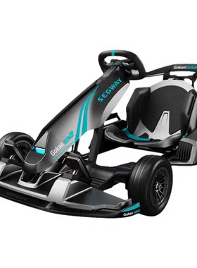 Ninebot九号卡丁车pro2儿童成人