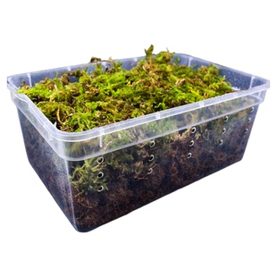 乌龟冬眠箱热带爬行动物冬眠箱小乌龟专用冬眠箱配件大全椰苔椰土