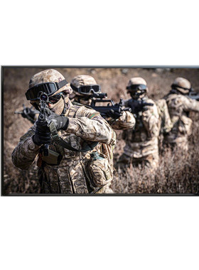 絮之家特种兵军旅挂画