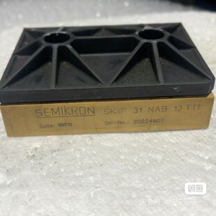 skiip31nab12t11 skiip30nab12t4