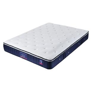 穗宝整网弹簧3D椰棕适中偏硬席梦思22cm护脊床垫 东方梦棕眠零压