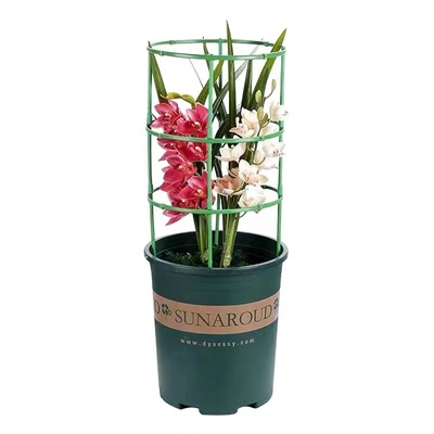 蟹爪兰专用支架支撑杆