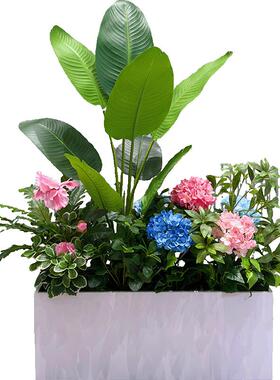wo+仿真绣球成组花箱休闲区外摆