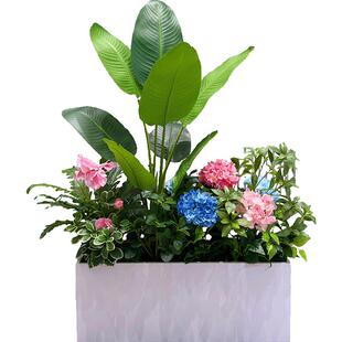 wo+仿真绣球花天堂鸟树景观花箱成组户外休闲区摆放餐厅奶茶外摆