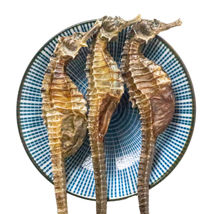 海马干货中药材补品三斑泡酒公母配对中草药材店铺大全海龙泡酒料