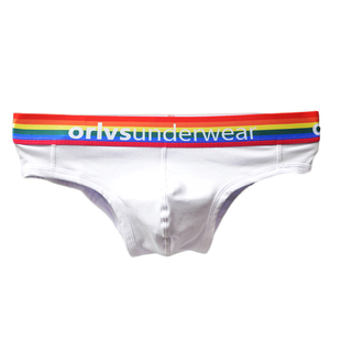 2条装青年男士内裤纯色棉激凸大阴囊性感男三角裤低腰彩虹短裤衩