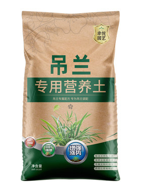 吊兰专用营养土金边油画金鱼吊兰