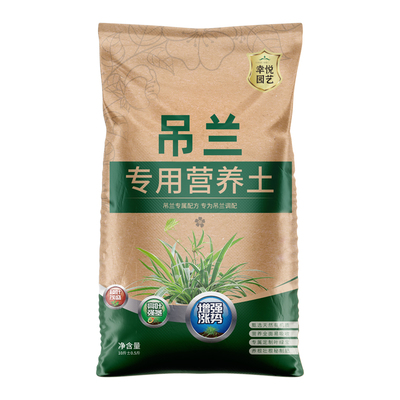 吊兰专用营养土金边油画金鱼吊兰