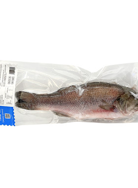 昆仑纪天山无抗鲈鱼混合整条装