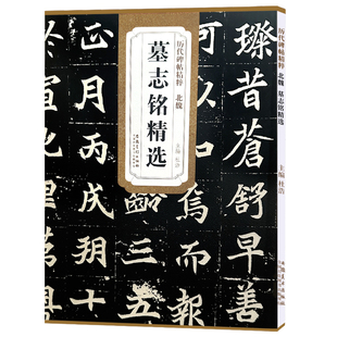 历代碑帖精粹 北魏 墓志铭精选 杜浩主编 第一辑碑帖楷书毛笔书法练字帖 简体旁注墓志铭李壁墓志铭美人董氏墓志铭
