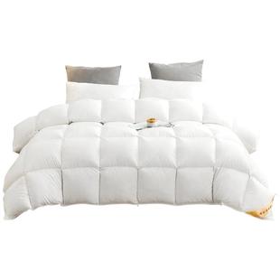 鸿润家纺静音95白鹅绒冬被春秋夏季7A抗菌加厚保暖单双人羽绒被芯