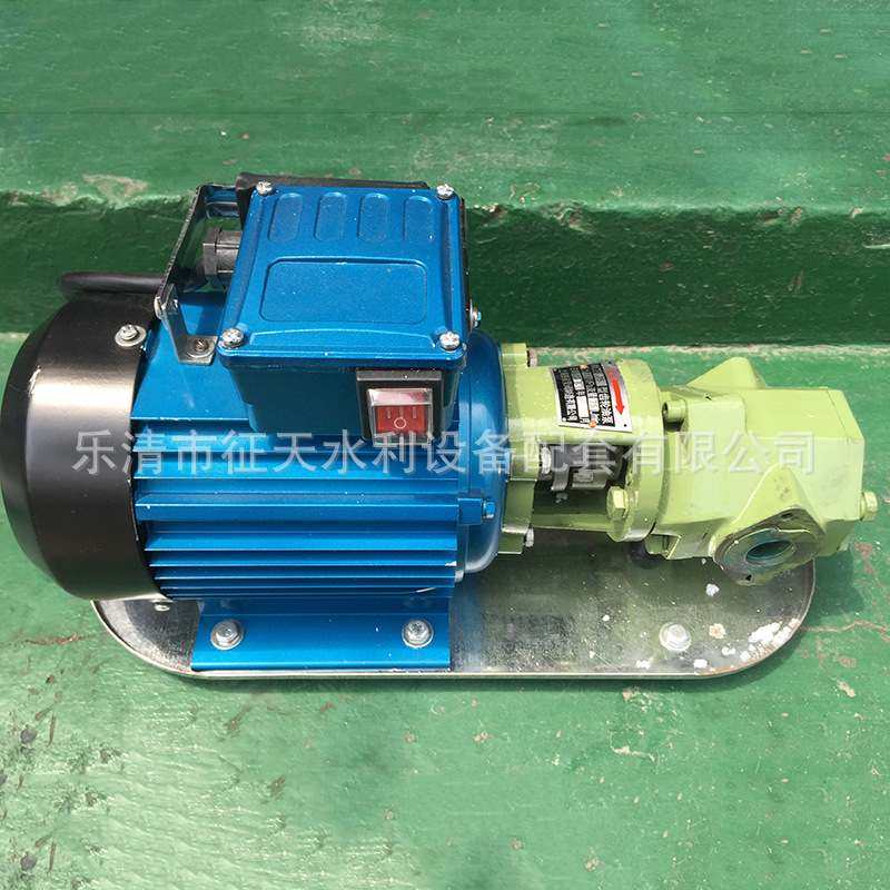 海湾抽油泵 铁泉WCB齿轮泵电动自吸抽油泵抽油机机油齿轮油高粘度,汽车零部件/养护/美容/维保,废油抽接机,淘宝优惠券,粉丝福利购,淘宝优惠卷