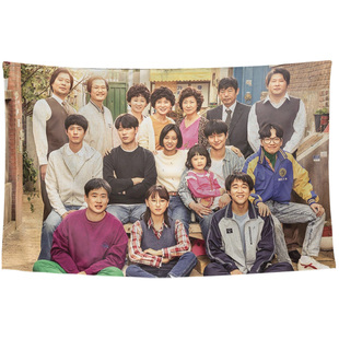 请回答1988德善崔泽正焕善宇韩剧周边装饰背景墙布海报挂布挂毯画