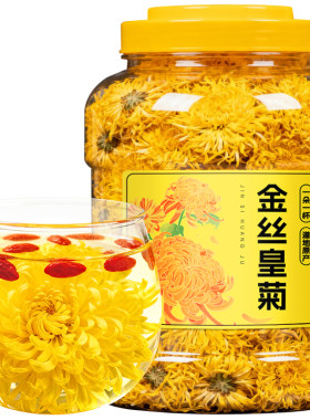 正品金丝皇菊一杯一朵清火菊花茶