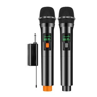 奇声无线话筒专业一拖二家用舞台户外唱歌主持会议麦克风套装