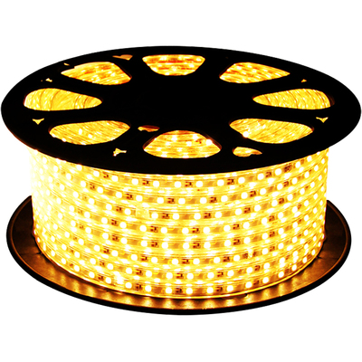 FSL佛山照明led灯带2835户外防水