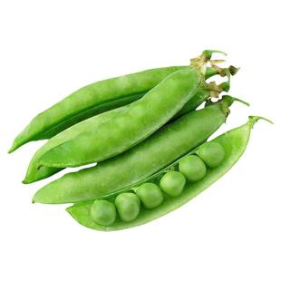 奇脆青种豌豆孑荷兰苗蚕豆菜珍甜豌豆子种籽长寿仁尖豆四季甜蔬菜