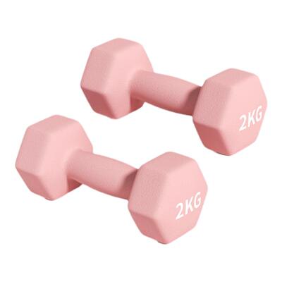 哑铃女士健身家用2kg一对3kg杠铃实心铁质亚铃铸铁六件套举重器材