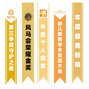 定制高档选美成人儿童选美小姐迎宾礼仪绶带肩带幼儿园毕业礼仪带