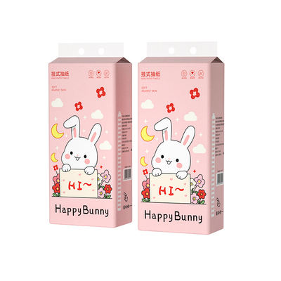 12大提整箱悬挂式纸巾抽纸卫生纸
