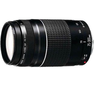 佳能EF 75-300mm f/4-5.6III三代远摄打鸟全画幅长焦变焦单反镜头