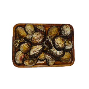 大连海鲜血哈现挖鲜活毛蚶子新鲜毛蛤蜊贝类小赤贝无沙花甲毛蚬子