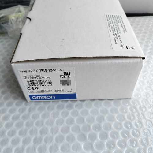 【询价】A22LK-2RLB-22-K01-SJ 安全门开关锁适用