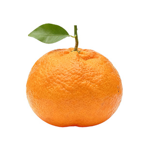 冬季晚熟四川眉山丹棱甘平胖橘春见耙耙柑升级品种官方旗舰店严选