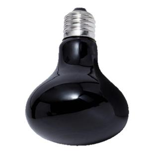 新派WACOOL玩酷爬宠夜间加热灯UVA夜灯陆龟蛇鬃狮蜥蜴保温灯泡