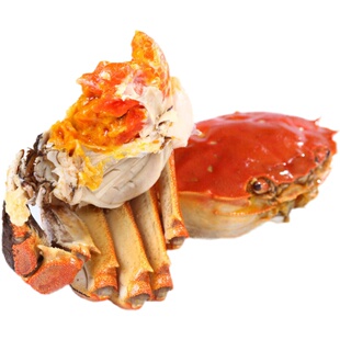 湖南益阳大通湖区横霸大闸蟹鲜活水产螃蟹海鲜全母10只礼盒装