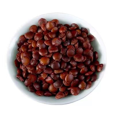秦岭深山新货酸枣仁果新货睡眠茶酸枣树根250g夜交藤包邮国产酸枣