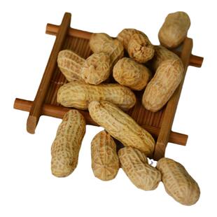 今年新货红裕丰客家土特产甜酒花生甘草菊花新货农家咸干蒜香花生