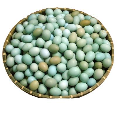 底胆固醇高营养绿壳蛋60枚新鲜