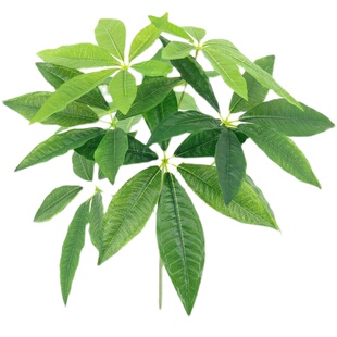 仿真18头发财叶树枝人参叶招财树假叶子盆景装饰园林插花摄影道具