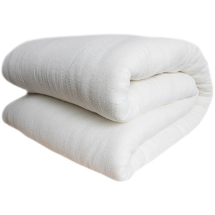 定做长绒棉花被芯婴儿童床全棉被子宝宝幼儿园床垫被褥子夏凉被订