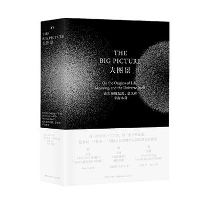 大图景 肖恩·卡罗尔用天文学物理学化学生物学哲学的丝线编织成一张宇宙大图景尝试解释宇宙的本质和个体生命存在的意义 原力出品