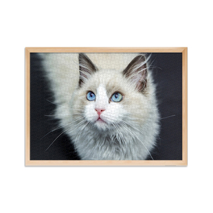 白卡拼图1000片宠物猫咪照片定制治愈系画像带框300喵橘猫5布偶猫