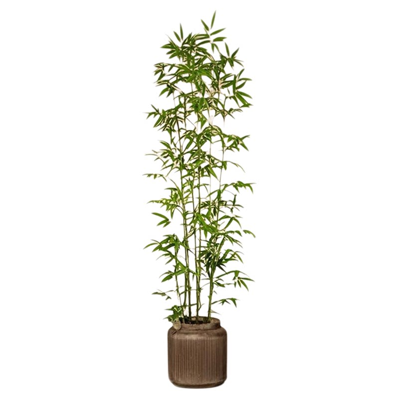 假绿植装饰仿真竹子仿真竹植物室内外隔断屏风玄关客厅酒店景观