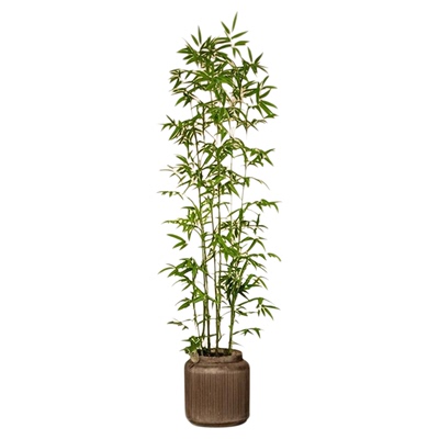 禅意仿真竹植物隔断屏风假绿植