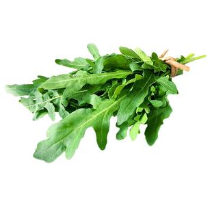 绿食者 芝麻菜500g 德国芥菜 火箭菜 新鲜蔬菜西餐蔬菜沙拉食材