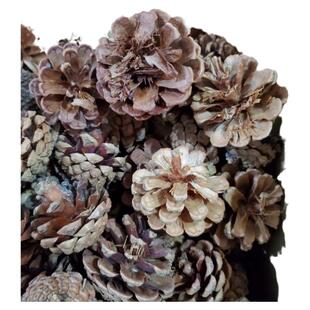 烂松果松塔壳铺垫花盆底天然保水透气有机植料土壤 引火材料5斤