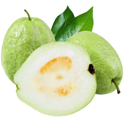 广西白心芭乐冰淇淋口感番石榴