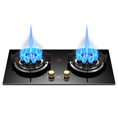 樱花燃气灶双灶家用液化气天然气