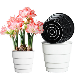 美莳球根朱顶红专用花盆树脂透气控根青山郁金香土培百合种球加厚